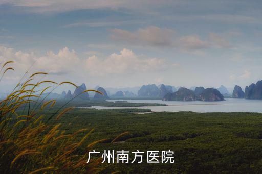 廣州從化區(qū)南方醫(yī)院第五附屬醫(yī)院，從化市南方醫(yī)科大學第五附屬醫(yī)院 屬于幾級醫(yī)院有誰在哪里做過人