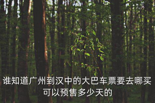 廣州到漢中的大巴多長時間，誰知道從廣州到漢中需要多少個鐘