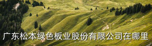 廣東松本綠色板業(yè)股份有限公司在哪里