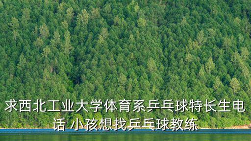 上海市曹燕華乒乓球俱樂部，曹燕華乒乓球訓(xùn)練地點在哪里