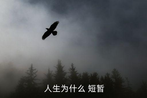 人生短暫,人生is短暫?