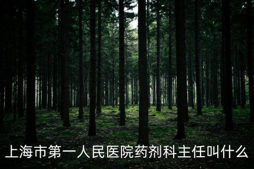 上海市第一人民醫院藥劑科主任叫什么