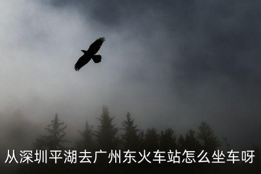從深圳平湖去廣州東火車站怎么坐車呀