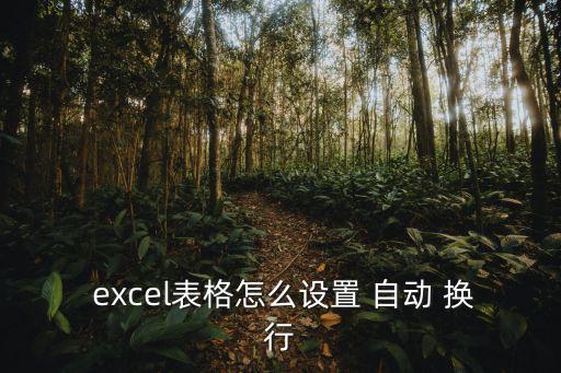  excel表格怎么設置 自動 換行