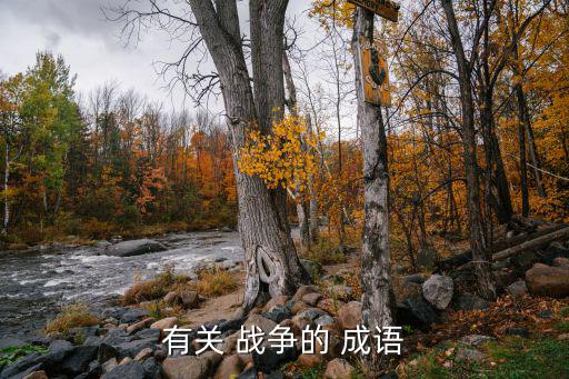 有關(guān) 戰(zhàn)爭(zhēng)的 成語(yǔ)
