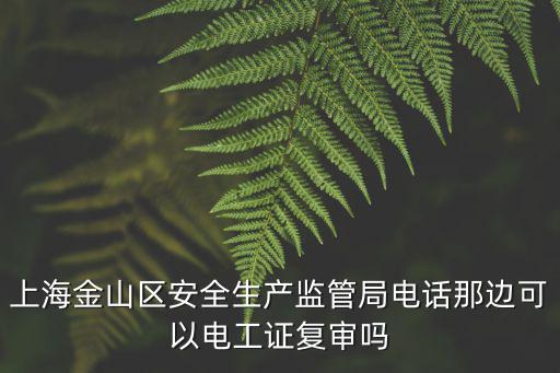 上海金山區安全生產監管局電話那邊可以電工證復審嗎