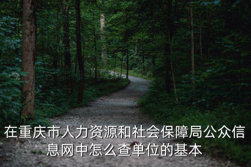 在重慶市人力資源和社會保障局公眾信息網中怎么查單位的基本