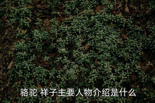  駱駝 祥子主要人物介紹是什么