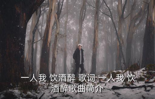 一人我飲酒醉歌詞,一人i飲酒醉是mc高迪演唱說唱歌曲