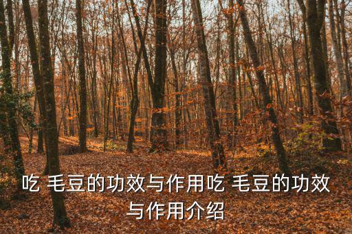 毛豆的功效,女性多吃抗衰老毛豆有助我們補血