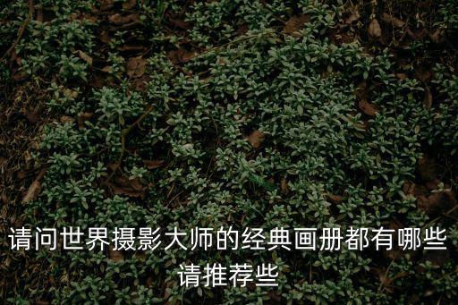 請(qǐng)問(wèn)世界攝影大師的經(jīng)典畫(huà)冊(cè)都有哪些請(qǐng)推薦些