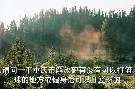 請問一下重慶市解放碑有沒有可以打籃球的地方或健身館可以打籃球的