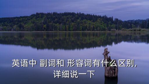 英語中 副詞和 形容詞有什么區(qū)別,詳細(xì)說一下