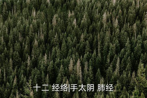 十二 經(jīng)絡(luò)|手太陰 肺經(jīng)