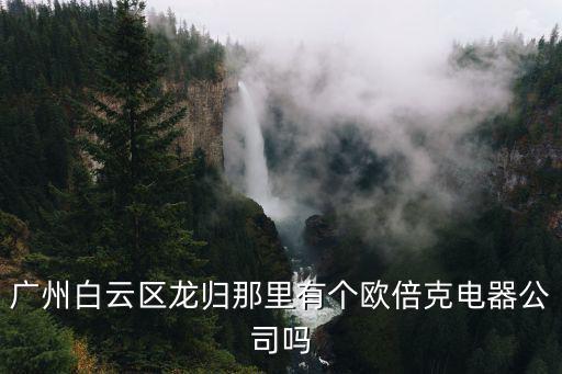 廣州白云電器的企業類型，廣州白云區龍歸那里有個歐倍克電器公司嗎