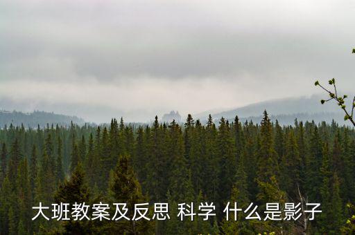 大班教案及反思 科學 什么是影子