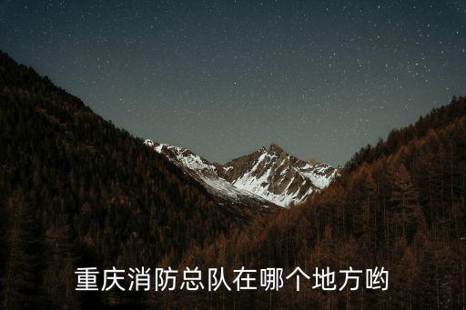 重慶消防總隊在哪個地方喲