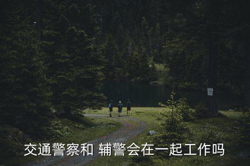 交通警察和 輔警會在一起工作嗎