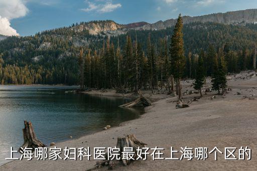上海哪家婦科醫院最好在上海哪個區的