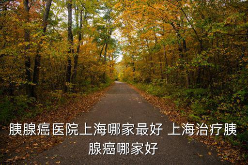 上海腫瘤科醫(yī)院排名第一胰腺癌，胰腺癌醫(yī)院上海哪家最好 上海治療胰腺癌哪家好