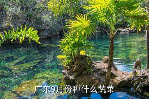 廣東9月份種什么蔬菜