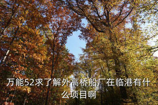萬能52求了解外高橋船廠在臨港有什么項目啊