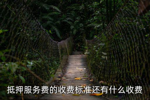 抵押服務費的收費標準還有什么收費
