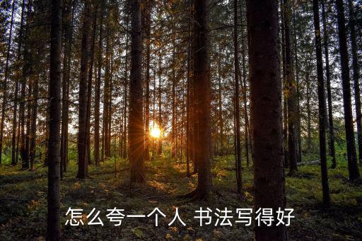 贊美書法寫得好,第八集:寫意丹青