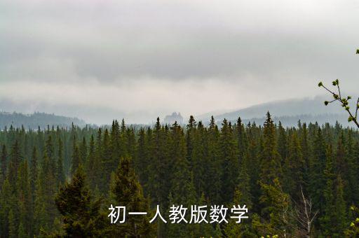 初一人教版數(shù)學(xué)