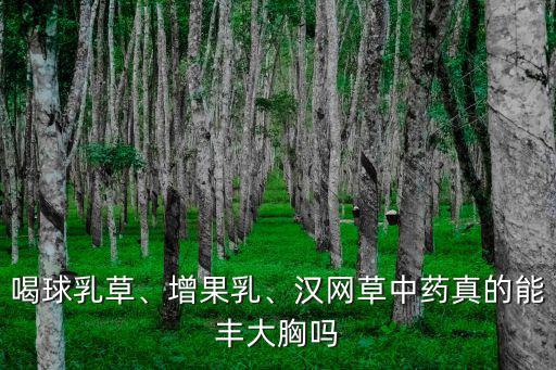 豐胸中藥,40歲女性豐胸最有效、安全、最快的中醫(yī)豐胸方法