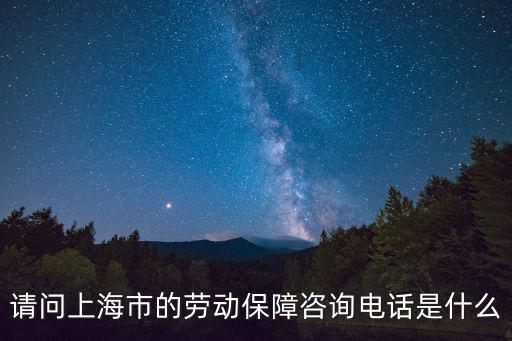 請問上海市的勞動保障咨詢電話是什么