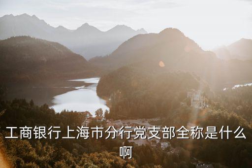 工商銀行上海市分行黨支部全稱是什么啊