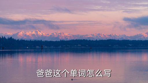 爸爸這個(gè)單詞怎么寫