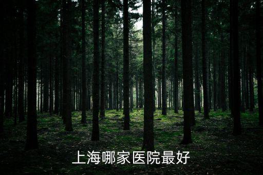 上海哪家醫院最好