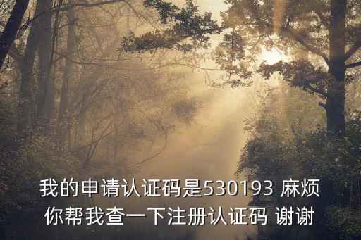 我的申請認證碼是530193 麻煩你幫我查一下注冊認證碼 謝謝