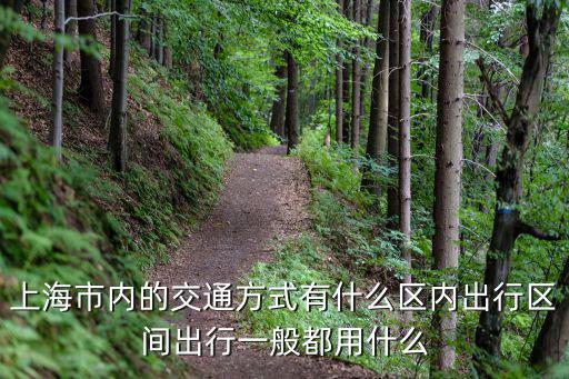 上海市交通出行方式有幾種，上海的交通工具有哪些
