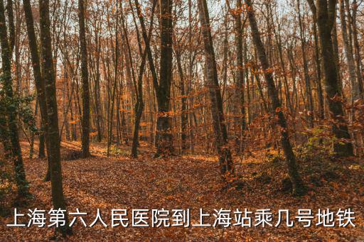 上海第六人民醫院到上海站乘幾號地鐵