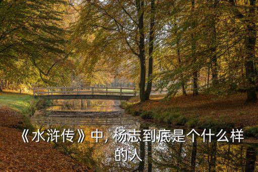《水滸傳》中, 楊志到底是個(gè)什么樣的人