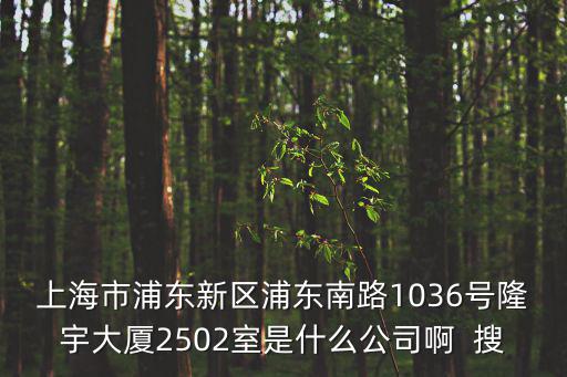 上海市鑫多企業(yè)管理有限公司，上海市浦東新區(qū)浦東南路1036號隆宇大廈2502室是什么公司啊  搜