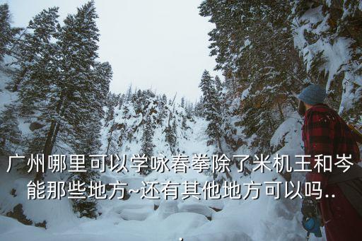 海印公園,關于廣州岑能詠春拳你必須知道的地點