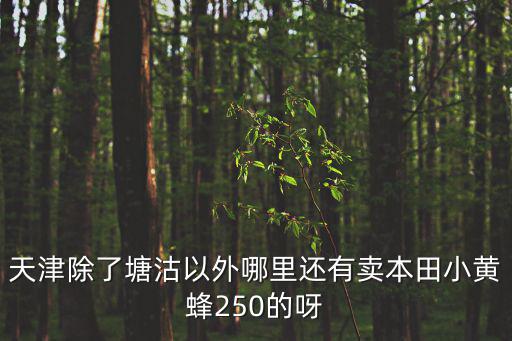 天津除了塘沽以外哪里還有賣本田小黃蜂250的呀