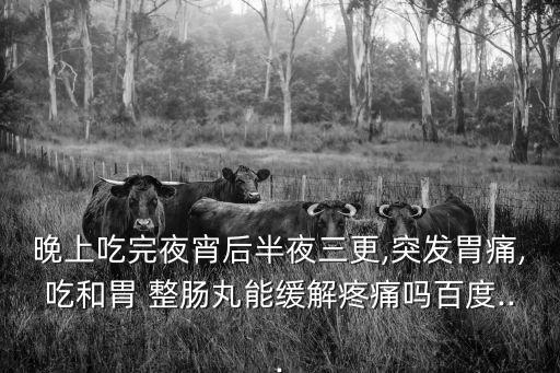 晚上吃完夜宵后半夜三更,突發胃痛,吃和胃 整腸丸能緩解疼痛嗎百度...
