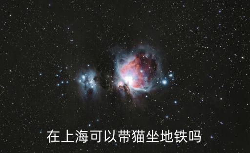 上海市小區(qū)野貓，上海哪些花鳥市場專門以賣貓為主的不要只是單單幾家要選擇范