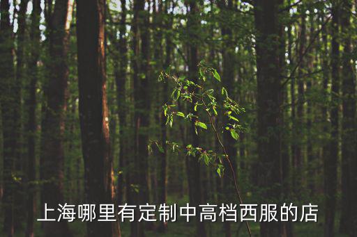 上海哪里有定制中高檔西服的店