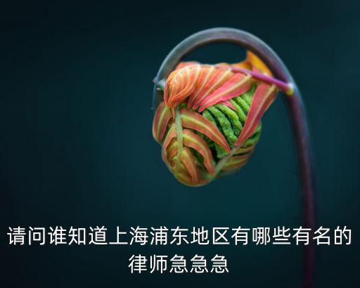 上海前十名律師，請問誰知道上海浦東地區有哪些有名的律師急急急