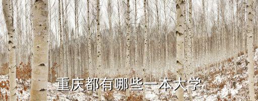 重慶都有哪些一本大學(xué)