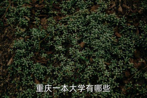 重慶一本大學(xué)有哪些