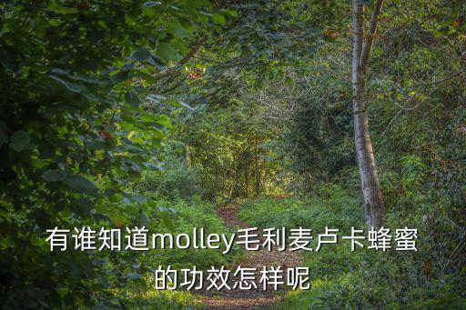 有誰知道m(xù)olley毛利麥盧卡蜂蜜的功效怎樣呢