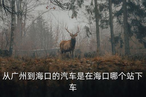從廣州到海口的汽車是在海口哪個站下車