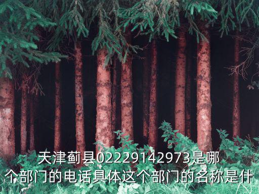 天津市薊縣古尚電話，天津薊縣02229142973是哪個(gè)部門的電話具體這個(gè)部門的名稱是什